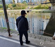 쓰러진 성남 분당 돌마교 보행로 임시 보강구조물