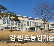 강원농업기술원, 16개 시군 특화 작목 육성에 77억원 투입