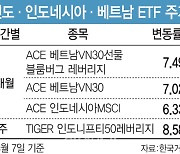 印·베트남 ETF '꿈틀'…달러 약세·성장성에 손뻗는 개인