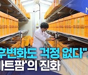 "기후변화도 걱정 없다"..'스마트팜'의 진화