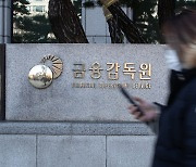 금감원, 부동산 펀드매니저 ‘불법 투자 의혹’ 전수조사