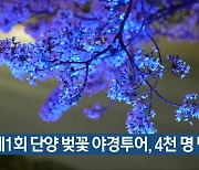 제1회 단양 벚꽃 야경투어, 4천 명 방문 성료