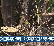 3,900여 그루 무단 벌채…제주자연체험파크 시행사 벌금형