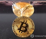 '급발진'한 비트코인, 4천만원 돌파...그 배경은?