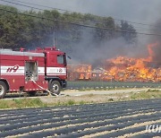 강원 강풍·산불에 학교 23곳 휴업·단축수업… 경포대초 소방 철수