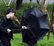 강풍에 뒤집어지는 우산