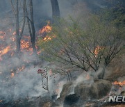 삽시간에 옮겨붙은 불