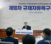 규제자유특구위원회, 발언하는 한덕수 총리