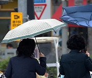 강풍주의보 충북, 강풍 피해는 미미