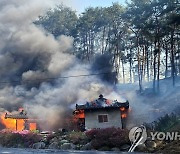 [속보] 강풍속 산불 확산…강릉 경포 10·11·13통 주민센터 대피 문자