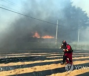 강릉 산불...긴박했던 주민 대피