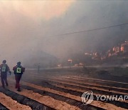 강릉 산불...긴박했던 주민 대피