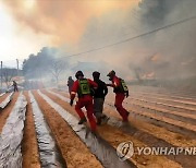 강릉 산불...긴박했던 주민 대피