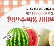 '함안 특산품' 수박·멜론, 네이버쇼핑 생방송 특별 판매