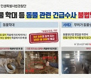 '동물학대 끝까지 추적'…경기도, 491곳 수사해 3곳 적발