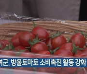 부여군, 방울토마토 소비촉진 활동 강화