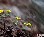 [포토친구] 만춘