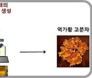 값싼 황 폐기물로 적외선 투과 렌즈 소재 제작한다