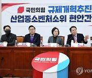 與, '산업단지 입지규제 완화' 규제개혁안 발표