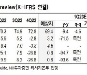 네오위즈, 다가오는 신작 출시…성장세 기대-NH