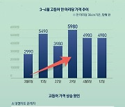 [오늘의 그래픽]국민생선 고등어 가격 한 달째 오름세…6~7월엔 더 뛴다