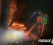 충남 보령서 야간 산불 발생…산 중턱서 발화 추정