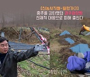 “충주 사과를 지켜라”…과수화상병 차단에 총력전 [新농사직썰-월령가①]