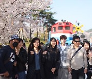 [단독] 진해는 어쩌다 대만인 성지가 됐나... 중일 넘는 'K관광'