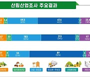 산림청 "2021년 산림산업 매출액 161조…종사자 61만명"