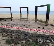 산불로 피해 본 경포해수욕장