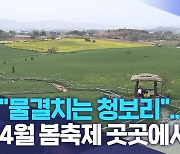 "물결치는 청보리"..4월 봄축제 곳곳에서