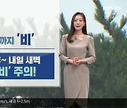 [날씨] 제주 내일 낮까지 비, 산지 120mm↑…강한 비·바람 주의하세요!