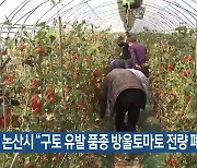 논산시 “구토 유발 품종 방울토마토 전량 폐기”