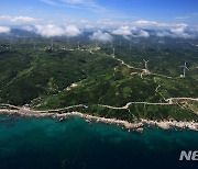 울진 산불피해지에 국내 최대 풍력단지 조성된다