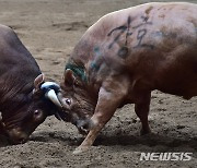 '팽팽한 힘겨루기'