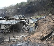 충남 산불 피해, 각계각층 '온정' 이어져