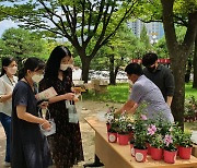 산림청 "축구 관람 전에 나무 받아가세요"