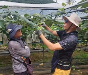 영월군, ‘농촌에서 6개월간 살아보기’ 운영