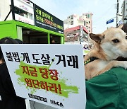 '개 식용 금지' 여야 한목소리…태영호도 법안 발의