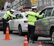 대낮 음주운전 단속