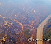 울진 산불 피해지역 풍력발전단지 조성…5년간 1조원 투자