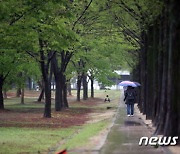 [오늘의 날씨] 울산(15일, 토)…비오다 오후부터 차차 맑아져