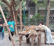 [이환주의 내돈내산] "파타야 짠내투어지만 할 건 하고, 볼 건 보고..."