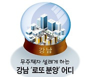 무주택자 설레게 하는 강남 '로또 분양' 어디 [카드뉴스]