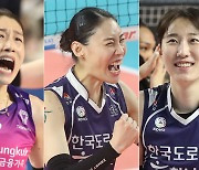 FA ‘빅3’ 중 행선지 결정된 김연경·배유나… 남은 박정아는 어디로?