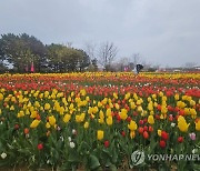 봄비 내리는 주말…전국 꽃 축제장·관광지 나들이 인파