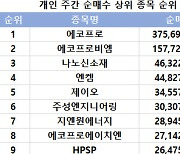 코스닥 개인 주간 순매수 1위 '에코프로'