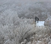 봄기운 완연한데… 강원 북부 산간 '대설주의보' 발령