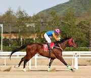 ‘부산의 절대강자’ 위너스맨, 제21회 헤럴드경제배 대상경주 제패