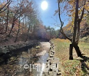 산림청 "산사태 막는다"…사방사업 우기전 집중 추진